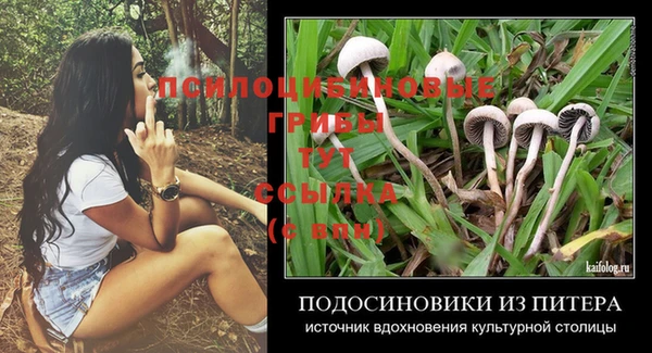 прущие крисы Богданович