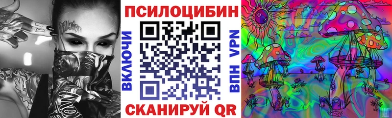 Псилоцибиновые грибы прущие грибы omg как войти Чадан